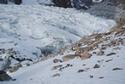 Ala Archa National Park glaciers. Kyrgyzstan Mountains